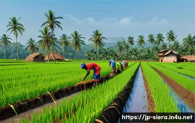 시에라리온 경제 구조 관련 이미지 1