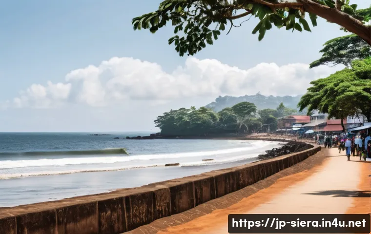 シエラレオネ経済の知られざる魅力!未来を拓く驚きのポテンシャルを徹底解剖 4 시에라리온 경제 구조 관련 이미지 2